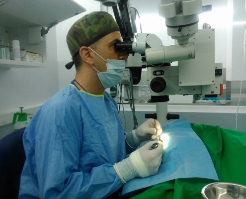 oftalmologia-veterinaria-coruña-cvlejarza